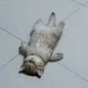 Meet your Posher, Andres